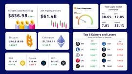MEV:深陷FTX风暴的加密市场何时反弹?_YVBOOST