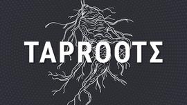 ERG:比特币Taproot升级和Ergo西格玛协议_Tap