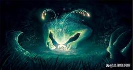区块链:当 L1 成为完整的生态系统,DeFi 协议还需要原生代币吗?_Ivar Coin