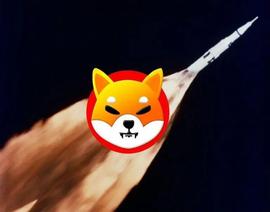 比特币:Shiba Inu 每年燃烧 111 万亿代币:神话还是现实?_BTCVB