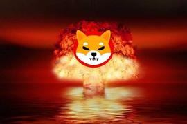 AINU:Shiba Inu 燃烧率飙升 30,000%;SHIB价格能否卷土重来?_SHIBAI
