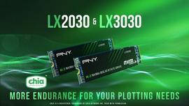 SSD:奇亚币价已崩,而挖矿SSD不止_NST
