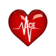 ACEToken|ACE_ACE币价格_ACE最新价格_ACE交易所