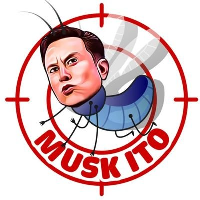 Musk Ito|MITO_MITO价格_MITO最新价格_MITO交易所